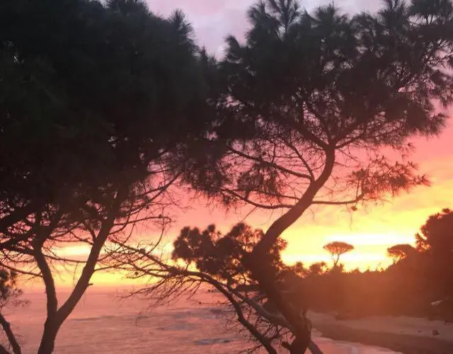 Le Terrazze Sul Mare - Capo Aranciotto * 切法卢